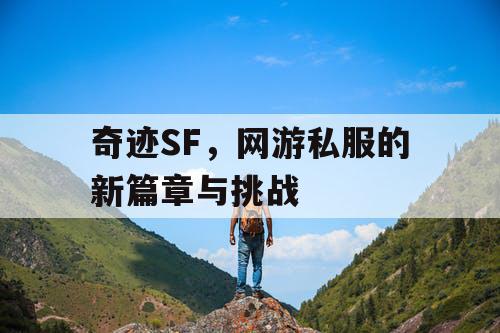 奇迹SF，网游私服的新篇章与挑战
