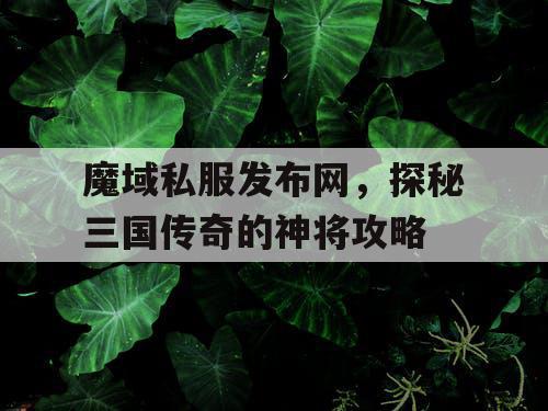 魔域私服发布网，探秘三国传奇的神将攻略