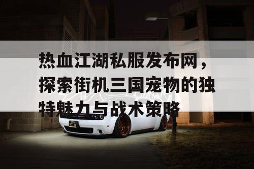 热血江湖私服发布网，探索街机三国宠物的独特魅力与战术策略