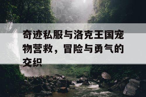 奇迹私服与洛克王国宠物营救，冒险与勇气的交织