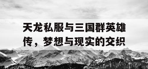 天龙私服与三国群英雄传，梦想与现实的交织