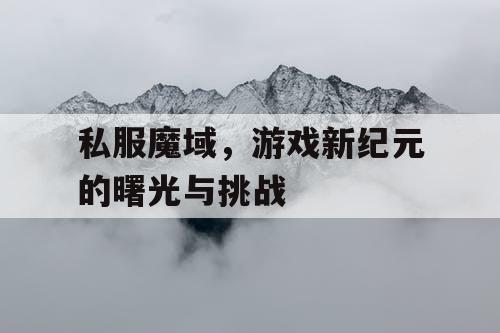 私服魔域，游戏新纪元的曙光与挑战