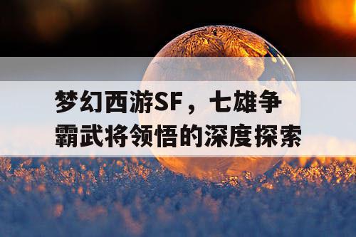 梦幻西游SF，七雄争霸武将领悟的深度探索
