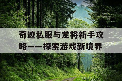 奇迹私服与龙将新手攻略——探索游戏新境界
