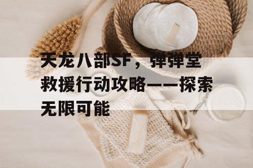 天龙八部SF，弹弹堂救援行动攻略——探索无限可能