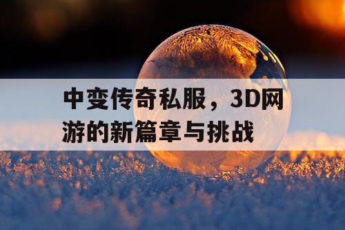 中变传奇私服，3D网游的新篇章与挑战