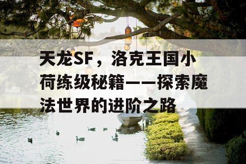 天龙SF，洛克王国小荷练级秘籍——探索魔法世界的进阶之路