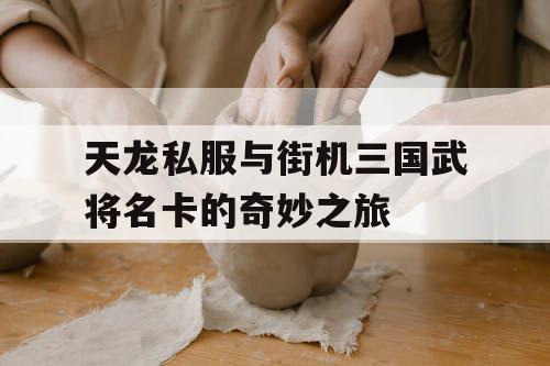天龙私服与街机三国武将名卡的奇妙之旅
