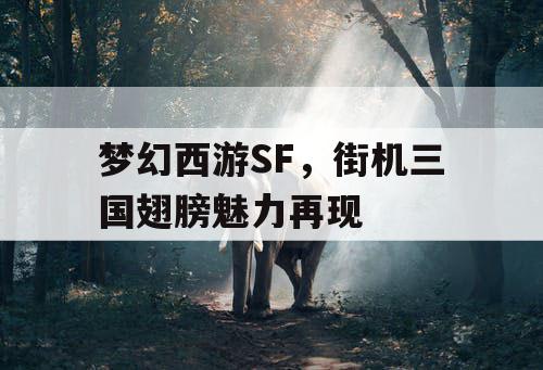 梦幻西游SF，街机三国翅膀魅力再现