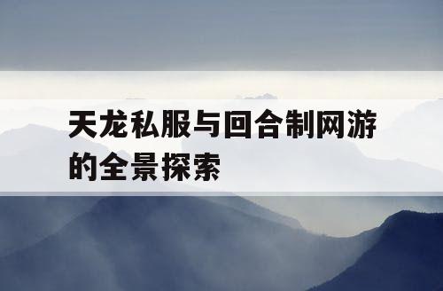 天龙私服与回合制网游的全景探索