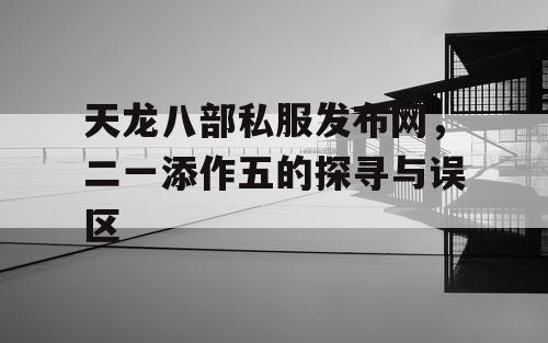 天龙八部私服发布网，二一添作五的探寻与误区