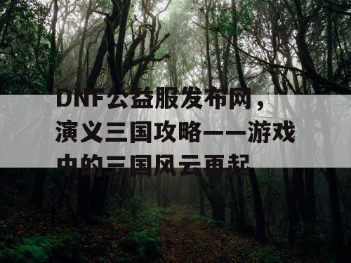 DNF公益服发布网，演义三国攻略——游戏中的三国风云再起