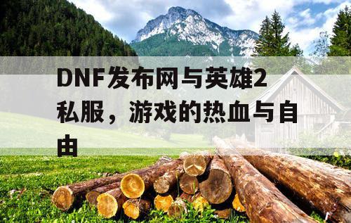 DNF发布网与英雄2私服，游戏的热血与自由