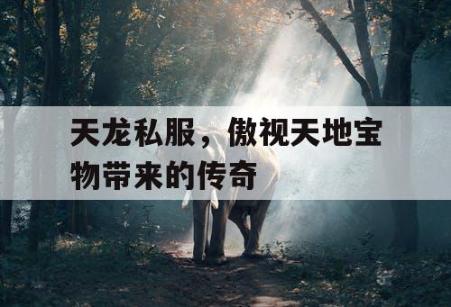 天龙私服,傲视天地宝物带来的传奇 天龙私服,傲视天地宝物带来的传奇