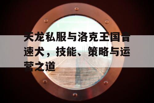 天龙私服与洛克王国音速犬,技能、策略与运营之道 天龙私服与洛克王国音速犬,技能、策略与运营之道