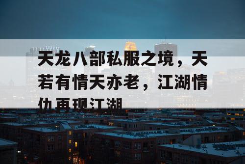 天龙八部私服之境，天若有情天亦老，江湖情仇再现江湖