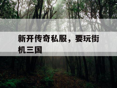 新开传奇私服，要玩街机三国