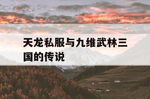 天龙私服与九维武林三国的传说
