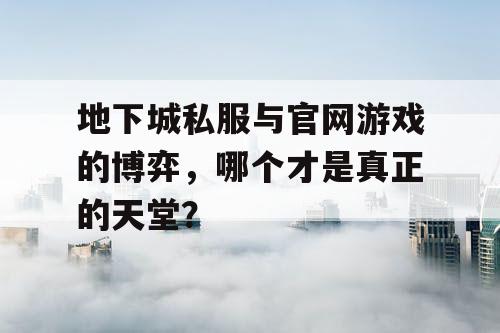 地下城私服与官网游戏的博弈，哪个才是真正的天堂？