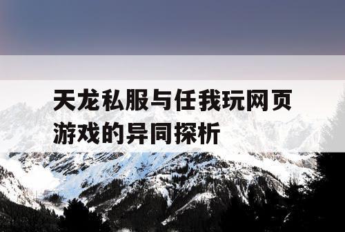 天龙私服与任我玩网页游戏的异同探析