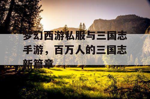 梦幻西游私服与三国志手游，百万人的三国志新篇章