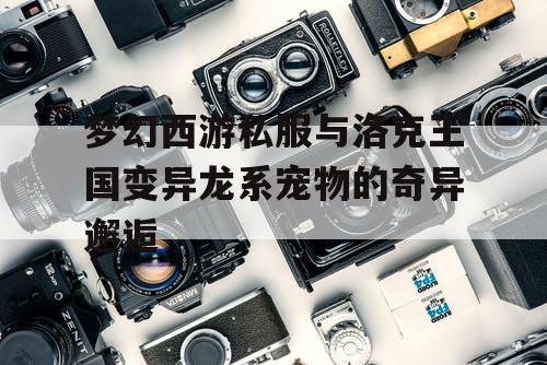 梦幻西游私服与洛克王国变异龙系宠物的奇异邂逅