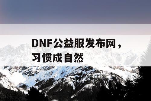DNF公益服发布网，习惯成自然