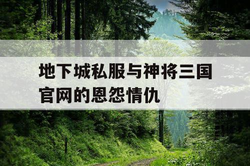 地下城私服与神将三国官网的恩怨情仇