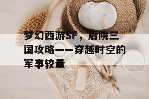 梦幻西游SF，后院三国攻略——穿越时空的军事较量