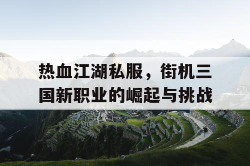 热血江湖私服，街机三国新职业的崛起与挑战