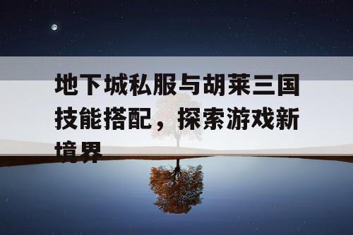地下城私服与胡莱三国技能搭配，探索游戏新境界