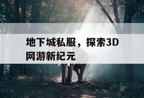 地下城私服，探索3D网游新纪元
