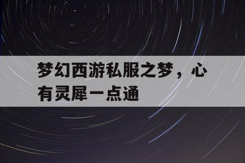 梦幻西游私服之梦，心有灵犀一点通