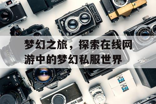 梦幻之旅,探索在线网游中的梦幻私服世界 梦幻之旅,探索在线网游中的梦幻私服世界