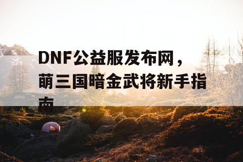 DNF公益服发布网,萌三国暗金武将新手指南 DNF公益服发布网,萌三国暗金武将新手指南