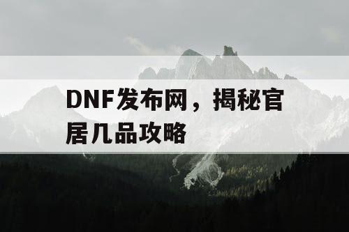 DNF发布网，揭秘官居几品攻略