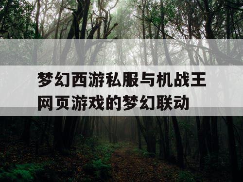 梦幻西游私服与机战王网页游戏的梦幻联动