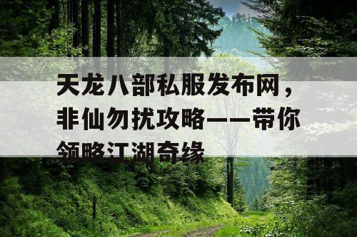 天龙八部私服发布网，非仙勿扰攻略——带你领略江湖奇缘