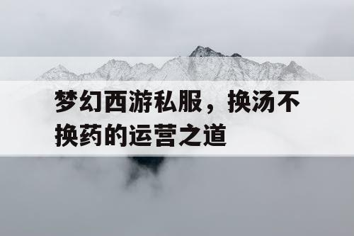 梦幻西游私服，换汤不换药的运营之道