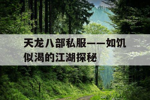 天龙八部私服——如饥似渴的江湖探秘 天龙八部私服——如饥似渴的江湖探秘