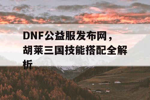 DNF公益服发布网，胡莱三国技能搭配全解析