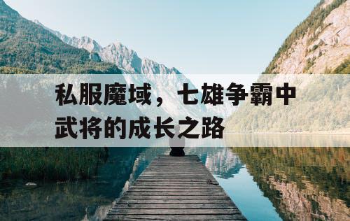 私服魔域，七雄争霸中武将的成长之路