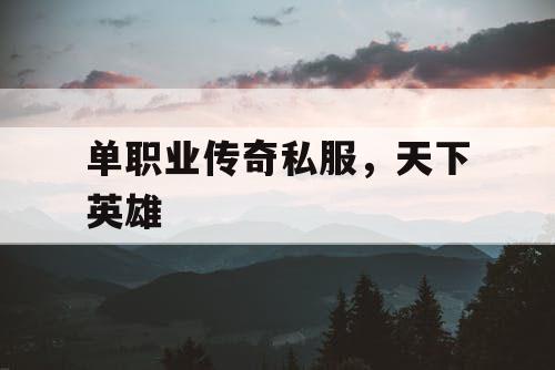 单职业传奇私服，天下英雄