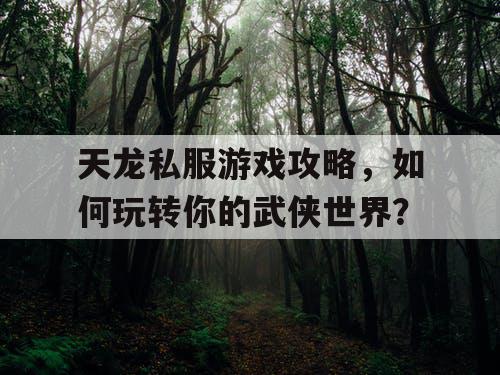 天龙私服游戏攻略,如何玩转你的武侠世界? 天龙私服游戏攻略,如何玩转你的武侠世界?