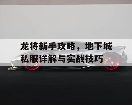 龙将新手攻略，地下城私服详解与实战技巧