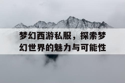 梦幻西游私服，探索梦幻世界的魅力与可能性