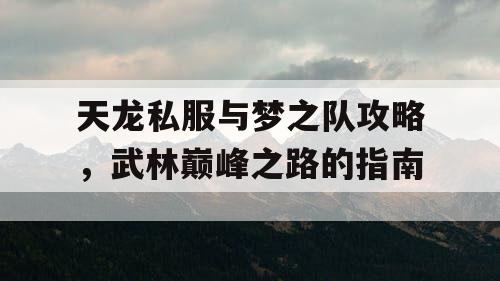 天龙私服与梦之队攻略，武林巅峰之路的指南