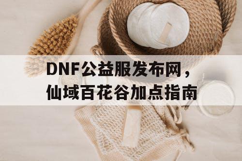 DNF公益服发布网，仙域百花谷加点指南