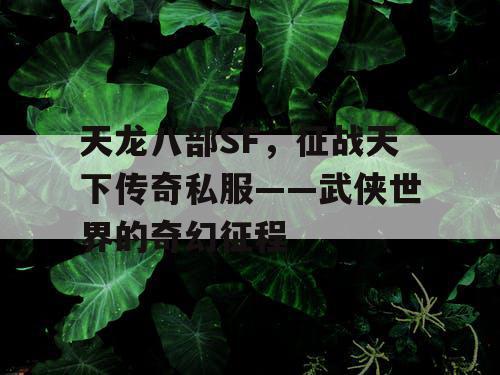 天龙八部SF，征战天下传奇私服——武侠世界的奇幻征程