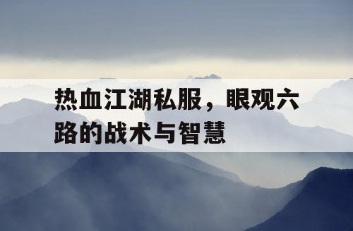 热血江湖私服，眼观六路的战术与智慧